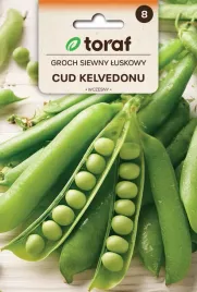 groch-siewny-luskowy-cud-kelvedonu-nasiona-50g-toraf-73