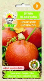 dynia-olbrzymia-uchiki-kuri-nasiona-5g-toraf-40