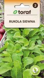nasiona-warzyw-rukola-siewna-1g-toraf-206