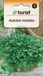 nasiona-warzyw-rukiew-wodna-wieloletnia-02g-toraf-205