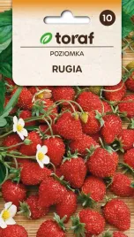 nasiona-poziomka-rugia-02g-toraf-200