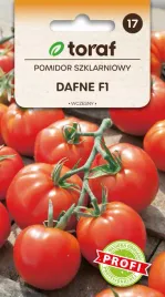 nasiona-pomidora-pomidor-szklarniowy-dafne-f1-01g-toraf-193