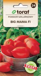 nasiona-pomidora-pomidor-szklarniowy-big-mama-f1-20-szt-toraf-192