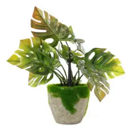 sztuczne-kwiaty-w-doniczce-monstera-23cm