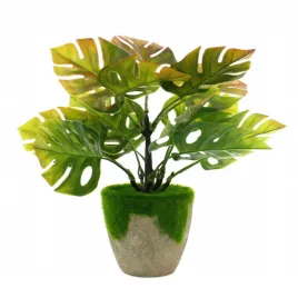 sztuczne-kwiaty-w-doniczce-monstera-25cm