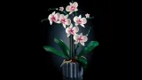 lego-botanicals-orchidea-10311-bohater-brak-wiek-dziecka-18-lat