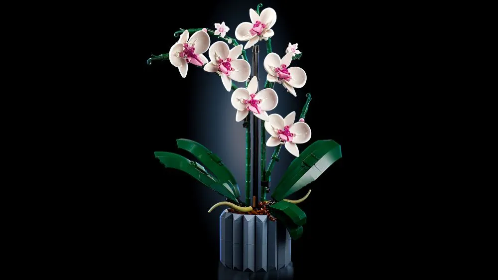 lego-botanicals-orchidea-10311