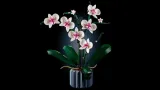 lego-botanicals-orchidea-10311-bohater-brak-numer-produktu-10311