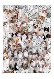 puzzle-1000el-koci-swiat