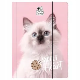 teczka-z-gumka-a4-cleo-i-frank-45-kot-derform