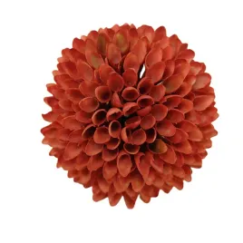 czosnek-wyrobowy-ceglasty-12-sztuk-hortens