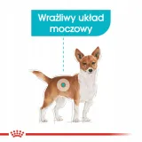 royal-canin-mini-urinary-care-1kg-marka-royal-canin