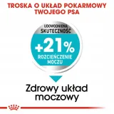 royal-canin-mini-urinary-care-1kg-wiek-zwierzecia-psy-dorosle