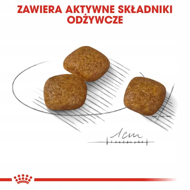 royal-canin-mini-urinary-care-1kg-karmy-specjalne-dla-psow-ze-schorzeniami-drog-moczowych