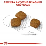 royal-canin-mini-urinary-care-1kg-karmy-specjalne-dla-psow-ze-schorzeniami-drog-moczowych