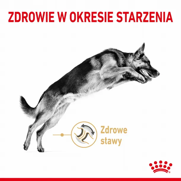 royal-canin-german-shepherd-5-12kg-wiek-zwierzecia-psy-starsze