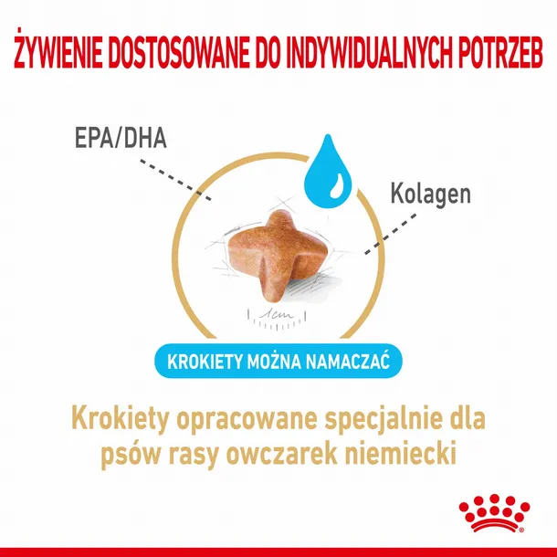 royal-canin-german-shepherd-5-12kg-karmy-specjalne-nie-dotyczy