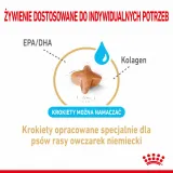 royal-canin-german-shepherd-5-12kg-karmy-specjalne-nie-dotyczy
