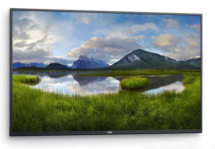 Monitor LED 55