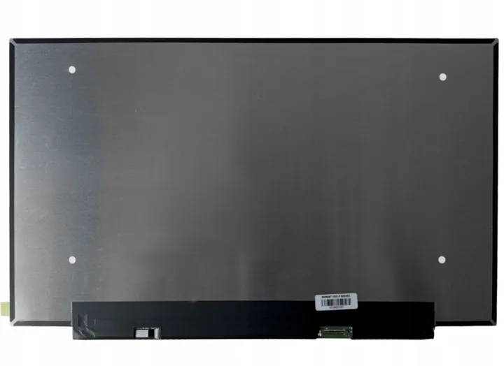 matryca-lcd-b156han02-1-matowa-fhd-ips