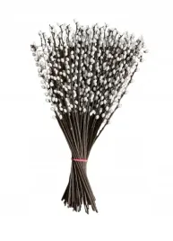 bazie-galazka-bazia-stroik-wielkanoc-47-cm-12-sztuk