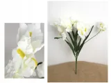 bukiet-irys-wys-56-cm-bialy