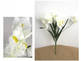 bukiet-irys-wys-56-cm-bialy