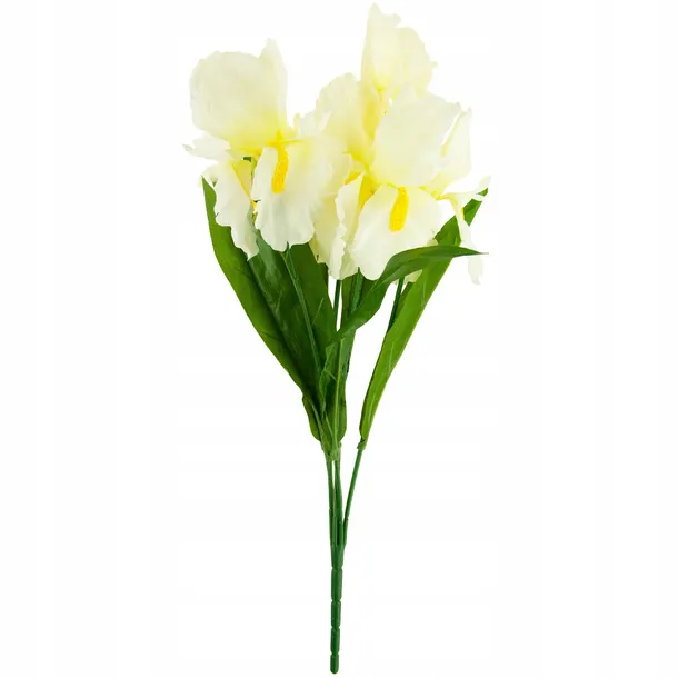 bukiet-irys-wys-56-cm-bialy-rodzaj-bukiety