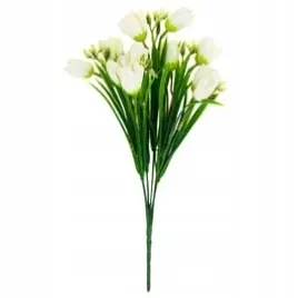 bukiet-krokus-33-cm-bialy