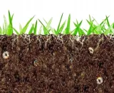 agrecol-grammini-limit-10-g-394-stan-nowy-rodzaj-srodka-organiczny-naturalny