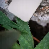 spacecase-etui-silikonowe-case-do-galaxy-s8-bone-ochronne-kolor-bezowy