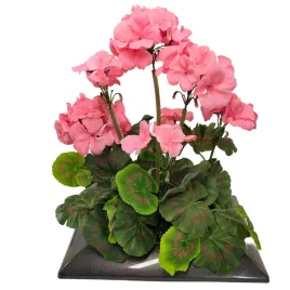 kompozycja-dekoracyjna-z-pelargonii-35-cm