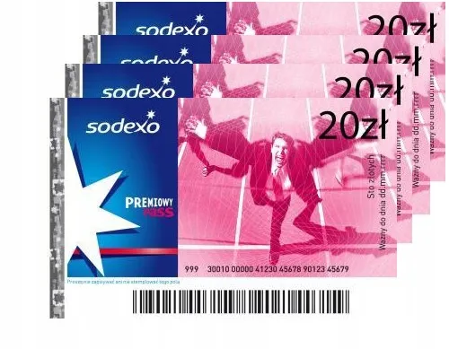 liczarka-glover-cc-20-2-bony-sodexo-przeznaczenie-do-bilonu-stan-opakowania-oryginalne
