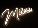 neon-led-milosc-ledon-50x21cm