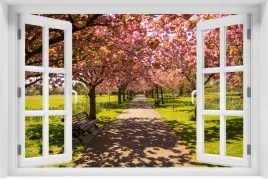 tapeta-samoprzylepna-efekt-okno-3d-krajobraz-natura-park-kr-21