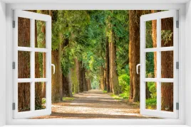 tapeta-samoprzylepna-efekt-okno-3d-krajobraz-natura-las-droga-kr-78