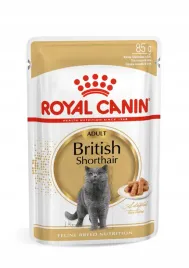 royal-canin-british-shorthair-12x85g-karma-mokra-brytyjski-krotkowlosy