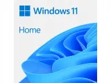 program-microsoft-windows-11-home-box