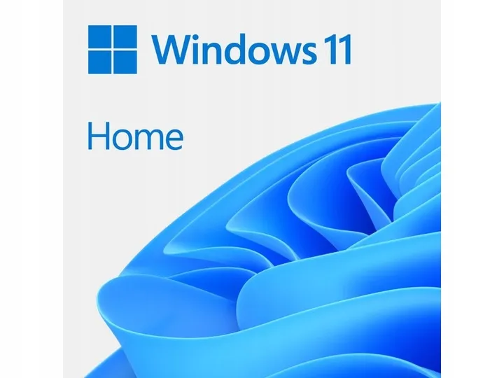 program-microsoft-windows-11-home-box