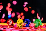 gra-muduko-holi-festiwal-kolorow-wiek-gracza-12-14-lat