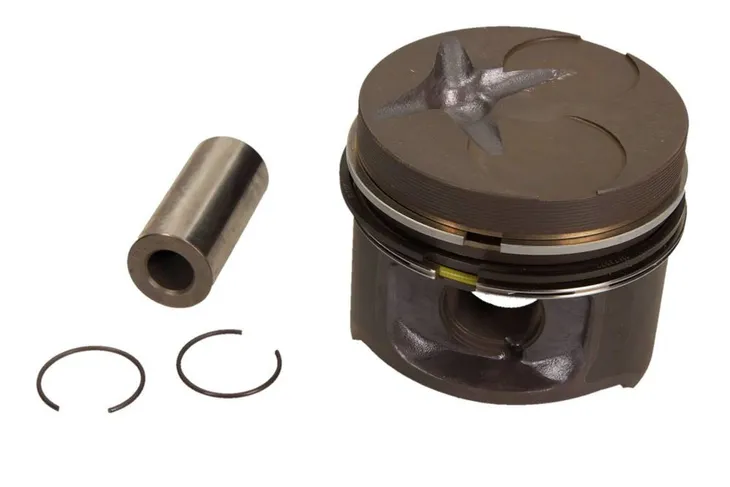 tlok-0029302-mah