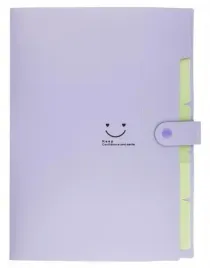 teczka-plastikowa-a4-z-5-przegrodkami-fioletowa