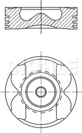 tlok-001-pi-00177-002