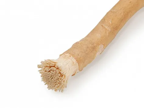 miswak-naturalne-drzewo-arakowe-stan-nowy