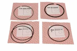 zestaw-pierscieni-tloka-01220n3-mah