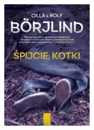 spijcie-kotki-cilla-borjlind