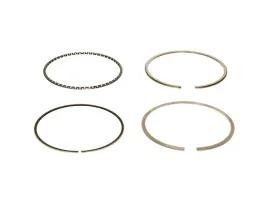 zestaw-pierscieni-tloka-02188n0-mah