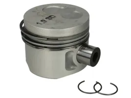 tlok-0298200-mah