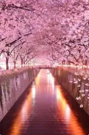 haft-diamentowy-aleja-diamond-painting-mozaika-diamentowa-zestaw-5d