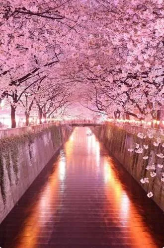 haft-diamentowy-aleja-diamond-painting-mozaika-diamentowa-zestaw-5d